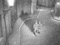 Thumbnail for version as of 19:22, 22 January 2013