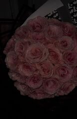 File:557e51ba-e67b-4d6c-9d73-9874c5f7b9a6.jpg