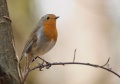 Thumbnail for version as of 18:29, 2 January 2012