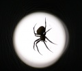 Thumbnail for version as of 16:44, 23 August 2013