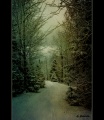 Thumbnail for version as of 15:03, 16 February 2011