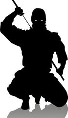 File:Ninjaaa.jpg