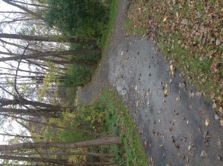 File:Pnpapsentier.jpg