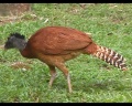 Thumbnail for version as of 18:49, 23 April 2014