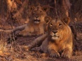 Thumbnail for version as of 18:15, 21 June 2012