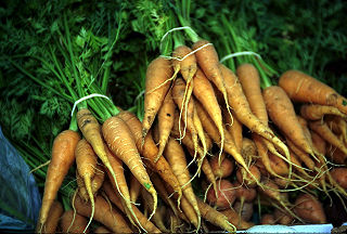 File:Carottes oranges.jpg
