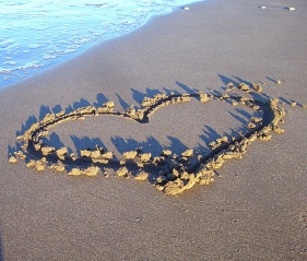 File:Merci beaucoup!~Thank you very much!-5574.jpg