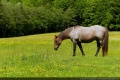 Thumbnail for version as of 10:29, 10 December 2011