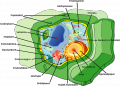Thumbnail for version as of 08:55, 7 May 2013