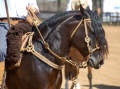 Thumbnail for version as of 13:37, 9 February 2012