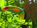 Thumbnail for version as of 17:56, 1 June 2010