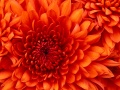 Thumbnail for version as of 13:35, 5 January 2014