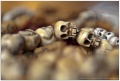 Thumbnail for version as of 16:23, 23 December 2011