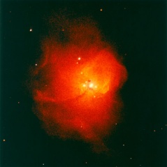 File:Petit magellan.jpg