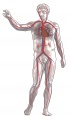Thumbnail for version as of 17:05, 17 March 2010