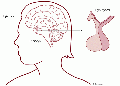 Thumbnail for version as of 11:38, 9 May 2014