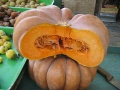 Thumbnail for version as of 10:59, 13 October 2009
