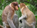 Thumbnail for version as of 18:21, 6 June 2012