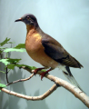 Thumbnail for version as of 11:36, 12 June 2014