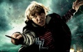 Thumbnail for version as of 09:52, 31 March 2013