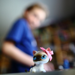 File:Pet Shop Boy-6341.jpg
