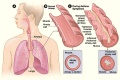 Thumbnail for version as of 07:20, 9 April 2014