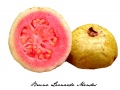 Thumbnail for version as of 18:10, 25 May 2010