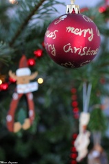 File:La boule du sapin de noel-5187.jpg
