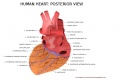 Thumbnail for version as of 08:37, 30 April 2014