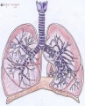 Thumbnail for version as of 08:17, 24 April 2014