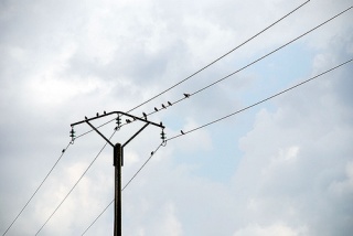 File:Fil électrique -9510.jpg