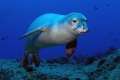 Thumbnail for version as of 15:38, 14 September 2012
