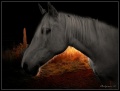 Thumbnail for version as of 20:26, 29 September 2011