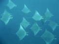 Thumbnail for version as of 12:47, 3 August 2010