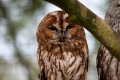 Thumbnail for version as of 07:23, 30 May 2011