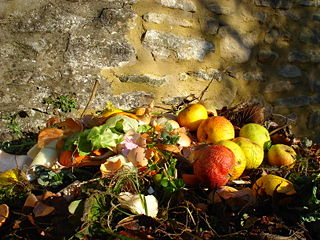 File:Compost-début-8367.jpg