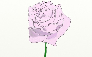 File:Rose.jpg