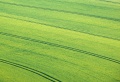 Thumbnail for version as of 09:29, 22 October 2010