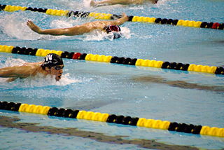 File:Michael Phelps-Natation-400 mètres-9566.jpg