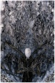 Thumbnail for version as of 09:54, 2 June 2013