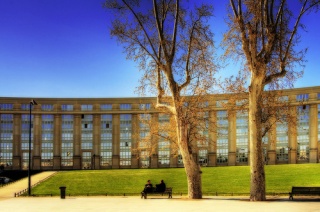 File:Spring-8285.jpg