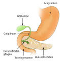 Thumbnail for version as of 06:44, 22 May 2014