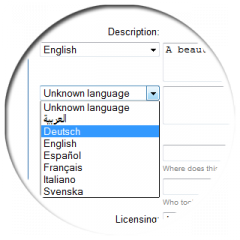 File:Wikiministock (Wikistock)-upload form-multilingual descriptions.png