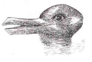 File:Illusion d'optique-Double image-Canard-lapin.jpg