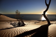 Vagues Dunes Sable Désert-8573.jpg
