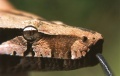 Thumbnail for version as of 12:13, 11 March 2010