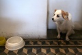 Thumbnail for version as of 11:48, 15 September 2013