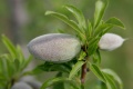 Thumbnail for version as of 14:06, 30 July 2009