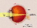 Thumbnail for version as of 08:23, 13 May 2014