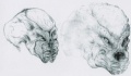 Thumbnail for version as of 18:44, 19 March 2010